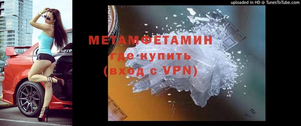 гидра Богданович