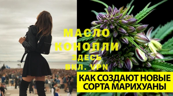 прущие крисы Заволжье