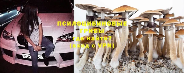 гидра Богданович