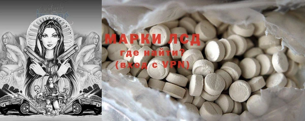 гидра Богданович