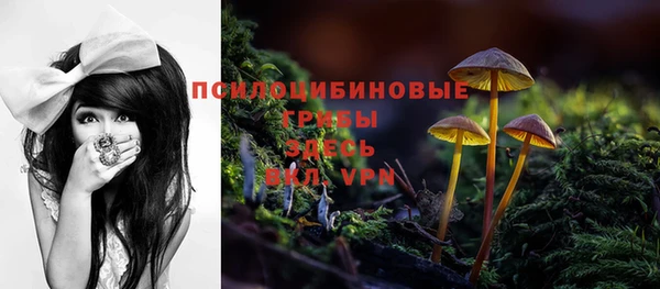 каннабис Белокуриха