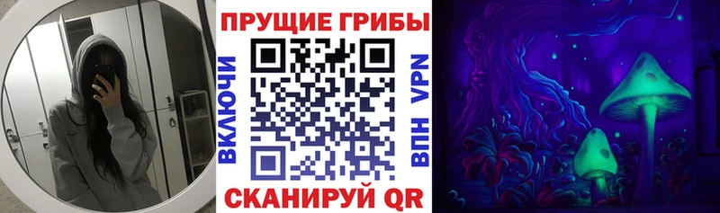 как найти закладки  Железногорск-Илимский  Псилоцибиновые грибы мицелий 